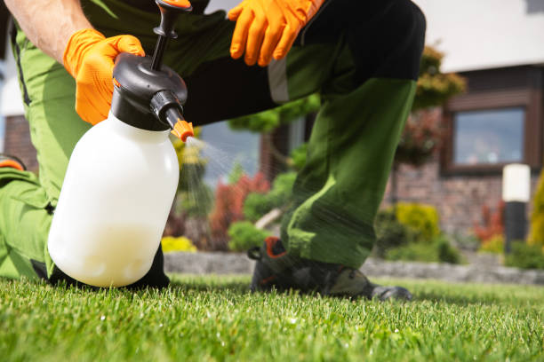  South Alamo, TX Pest Control Pros