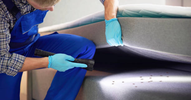 Best Affordable Pest Control Services  in South Alamo, TX