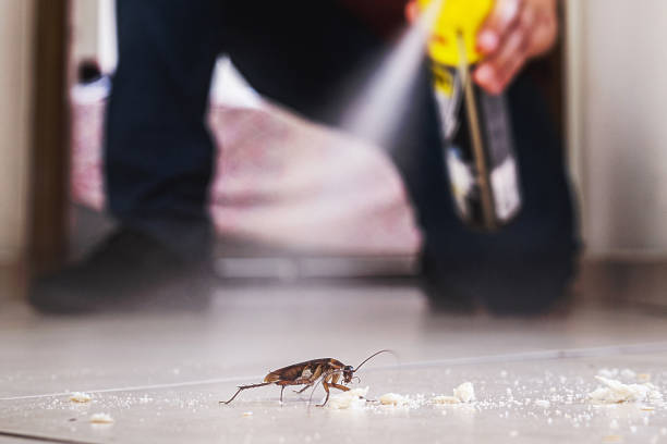 Wildlife Control Services in South Alamo, TX